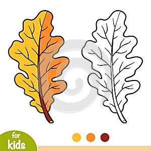 Coloring book, Oak leaf