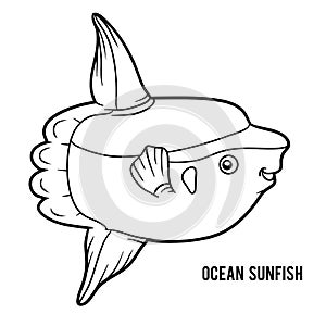 Coloring book, Ocean sunfish