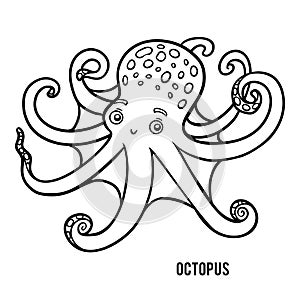 Coloring book, Octopus