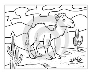 Coloring book, One-humped camel on a desert background