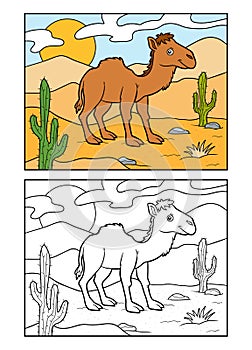 Coloring book, One-humped camel on a desert background