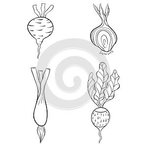 A coloring book,page for chidlren and adults ,a set of vegetables  image for relaxing.Zen art style illustration