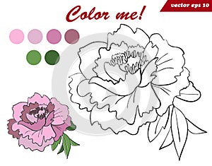 Coloring book page for children and adults with peony flower