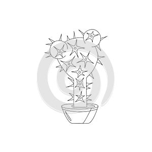 Coloring book page Decorative Cactus in a pot for adults and children . Hand-drawn Vector illustration. Doodle succulents or cacti