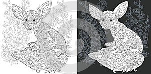 Coloring book page with fenec fox