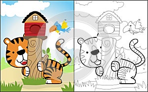 Coloring book or page of funny animals cartoon, tiger playing with bird in forest, birds cage on tree stump