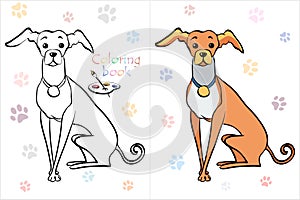 Coloring Book page funny Italian Greyhound dog