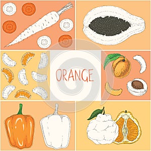 Coloring Book Page. Orange. Fruits and Vegetables