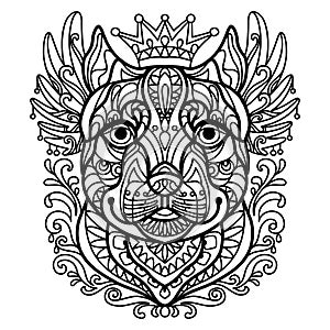 Coloring book page pitbull dog vector illustration