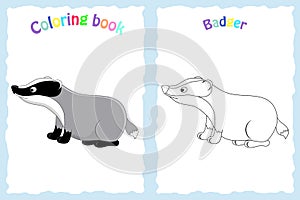 Coloring book page for preschool children with colorful badger a