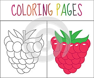 Coloring book page. Raspberries. Sketch and color version. Coloring for kids. Vector illustration