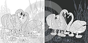 Coloring book page with swan family