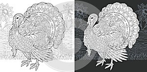 Coloring book page with turkey