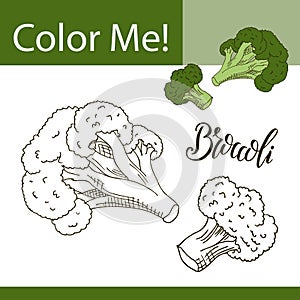 Coloring book or page of vegetable. Vector illustration with hand drawn broccoli.