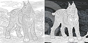 Coloring book page with wildcat