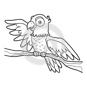 Coloring book, Parrot