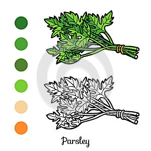 Coloring book, Parsley photo