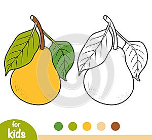 Coloring book, Pear tree branch
