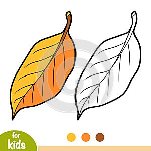 Coloring book, Pear tree leaf