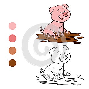 Coloring book (pig)