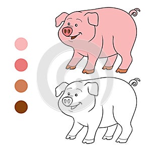 Coloring book (pig) photo