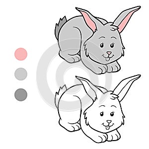 Coloring book (rabbit)