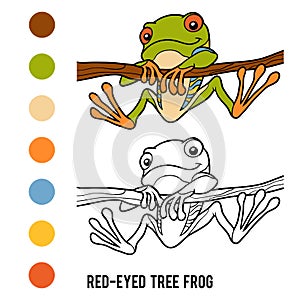 Coloring book, Red-eyed tree frog