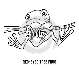 Coloring book, Red-eyed tree frog