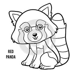 Coloring book, Red panda