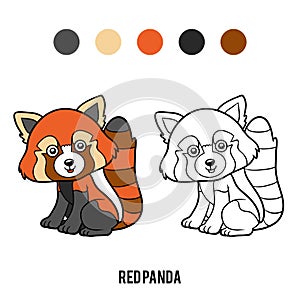 Coloring book, Red panda