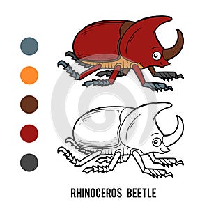 Coloring book, Rhinoceros beetle