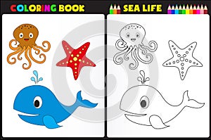 Coloring book sea life