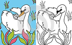 Coloring book swan photo