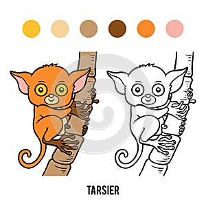 Coloring book, Tarsier