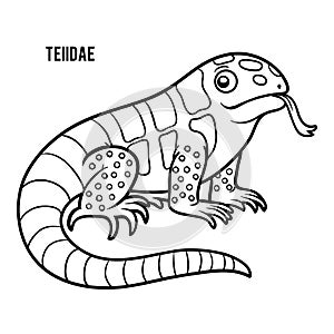 Coloring book, Teiidae