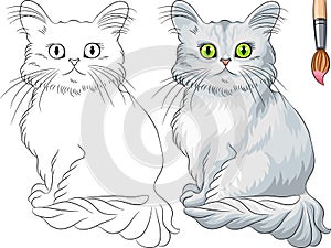 Coloring Book of Tiffany cat