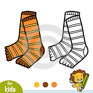 Coloring book, toe socks