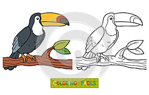 Coloring book (toucan) photo