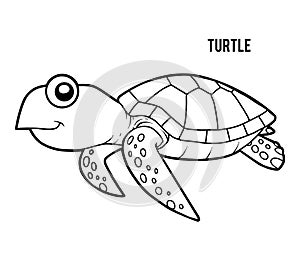 Coloring book, Turtle