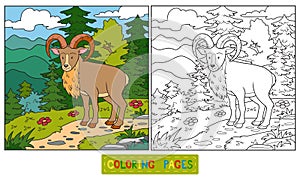 Coloring book (urial)