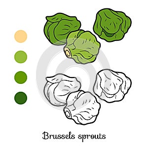 Coloring book, vegetables, Brussels sprouts