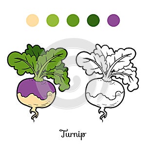 Coloring book, vegetables, Turnip