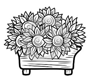 COLORING FOR CHILDREN. Composition with sunflowers in the BALCONY DRAWER, coloring autumn theme.