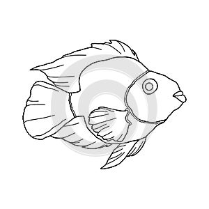 Coloring fish for children and adults