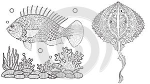 Coloring page for adult colouring book. Underwater world with stingray shoal, tropical fishes and ocean plants. Antistress freehan