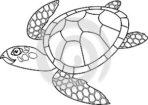 Coloring page. Adult cute cartoon swimming sea turtle