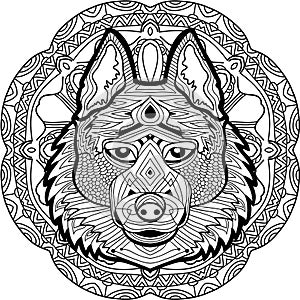 Coloring page for adults. Stern husky on a background