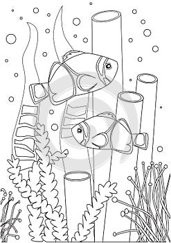 Coloring page with Amphiprion Nemo in the ocean or on the seabed for print, outline vector stock illustration with seaweed, coral