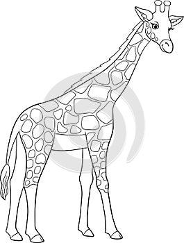 Coloring page. Big kind giraffe with long neck stands and smiles