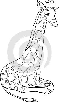 Coloring page. Big spotted giraffe with long neck lays and smiles